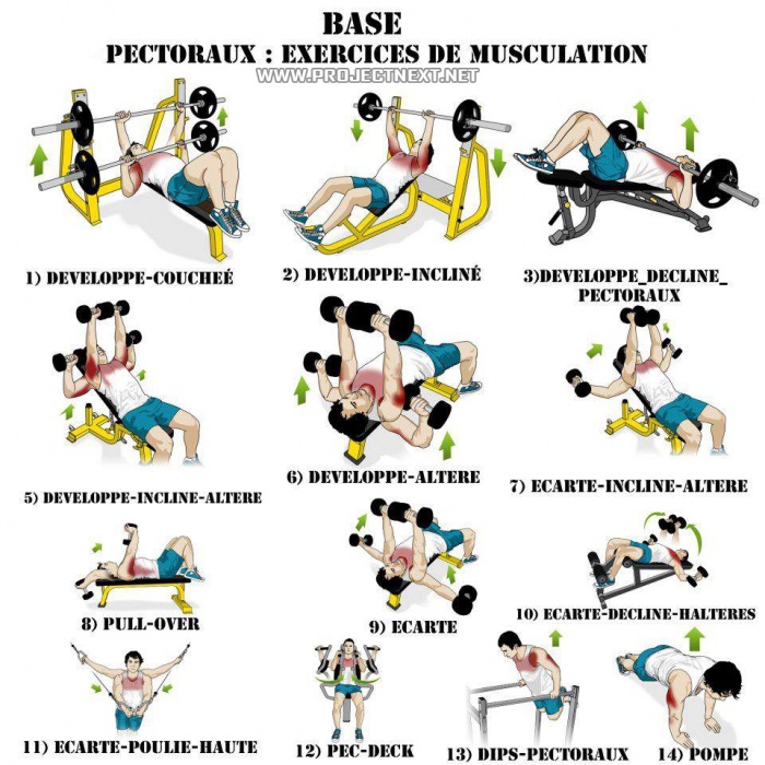 9 Chest Workout at Home BEST Exercises, 9 Chest Workout at Home BEST  Exercises