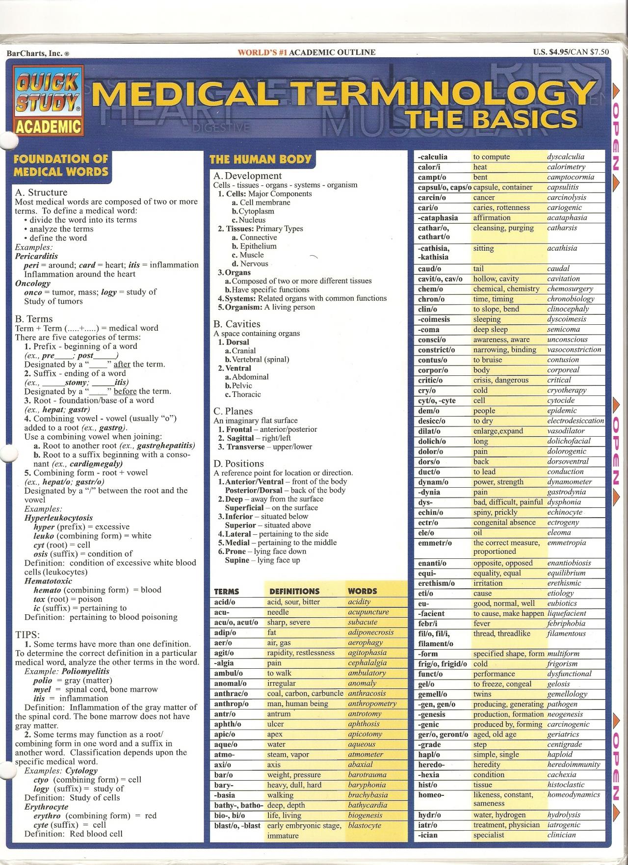 Understanding Medical Terminology For Beginners Faculty Of Medicine