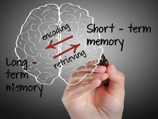 Short memory. Short term Memory. Long term Memory. Long-term and short-term Memory. Long term Memory картинки.