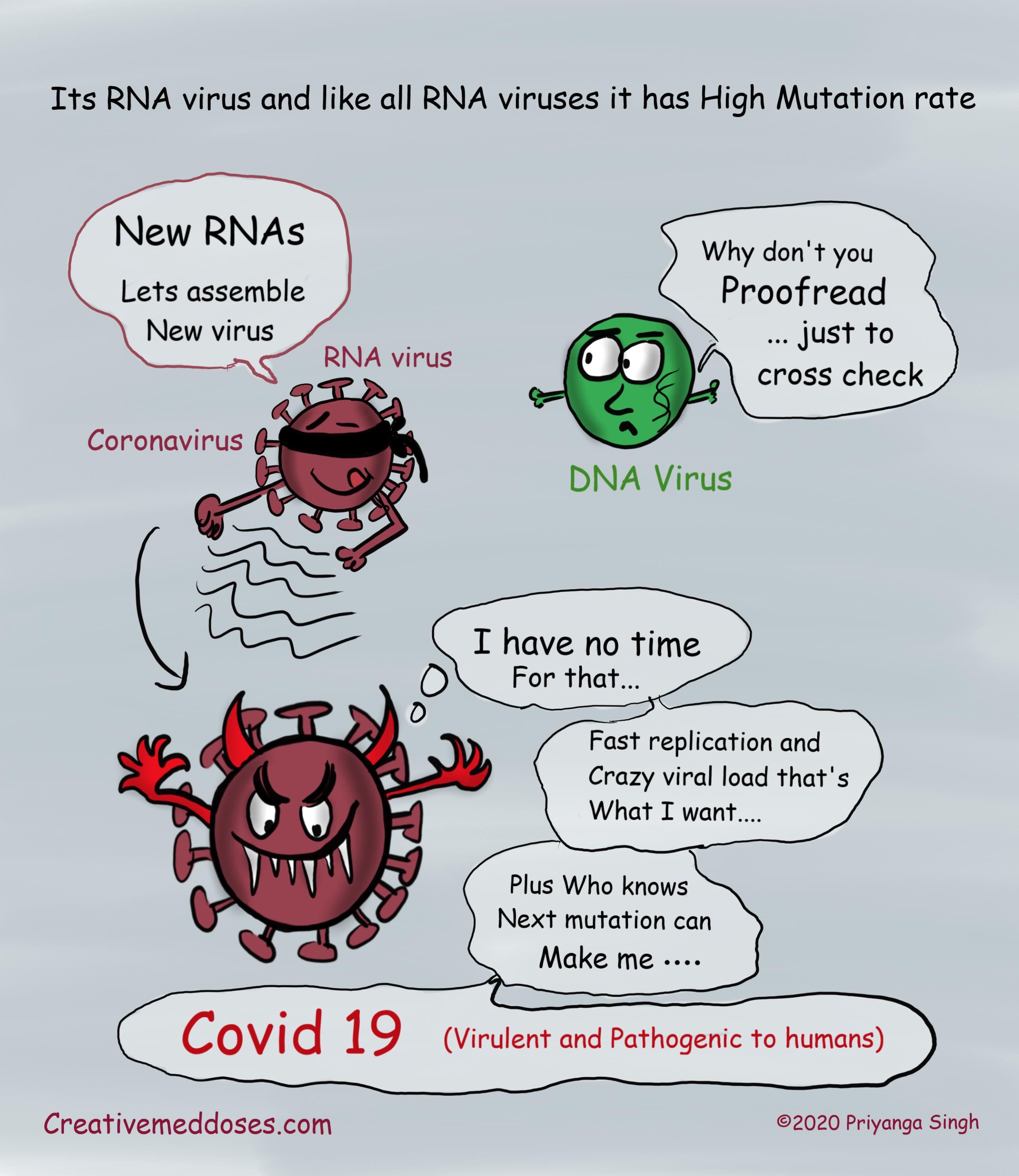 high mutation rate of RNA virus jpg.jpg