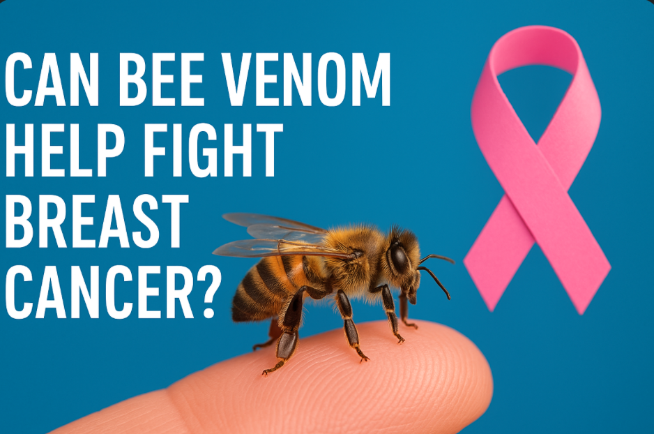 Screen Shot 2025-09-15 at 9.04.01 PM.png