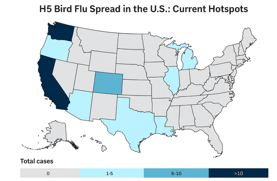 Screen Shot 2025-09-24 at 10.29.26 AM.png