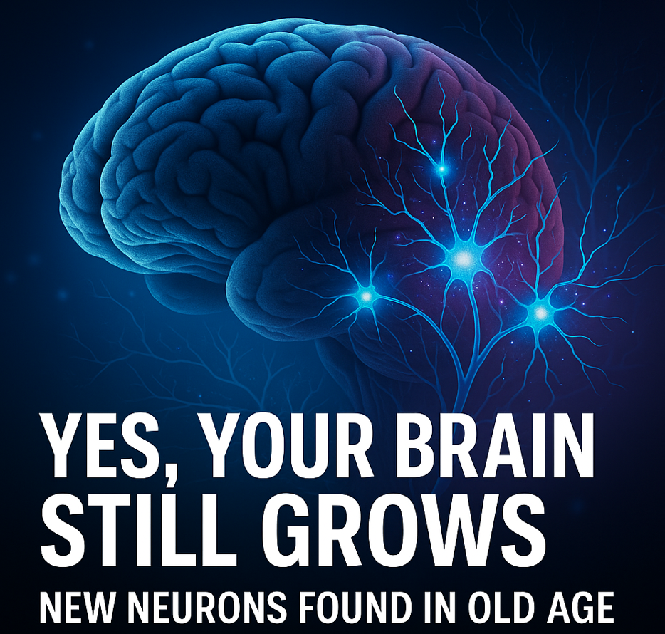 Screen Shot 2025-09-28 at 12.42.06 AM.png