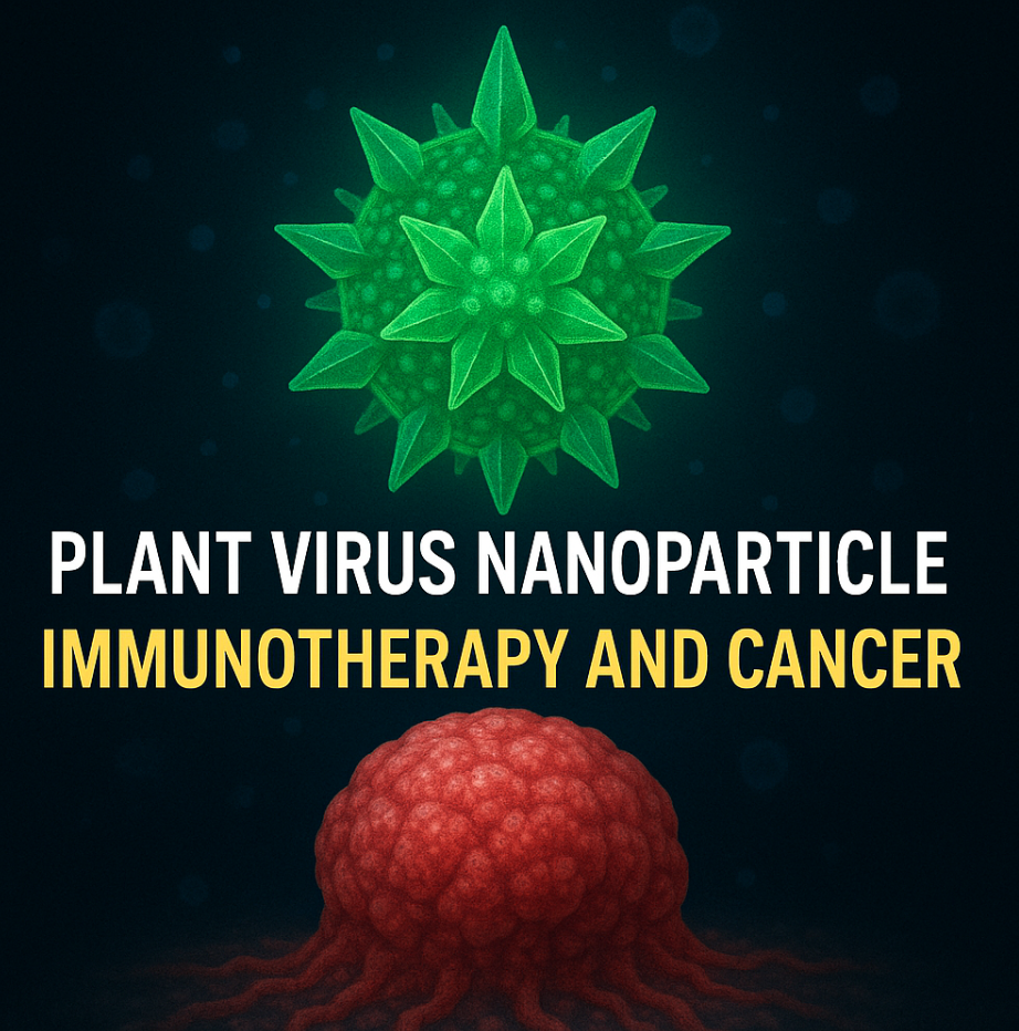 Screen Shot 2025-09-30 at 3.06.25 PM.png