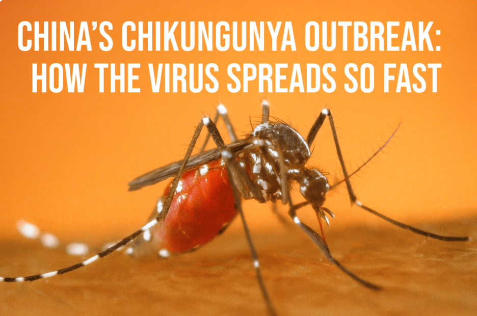 Screen Shot 2025-10-09 at 1.23.30 PM.png