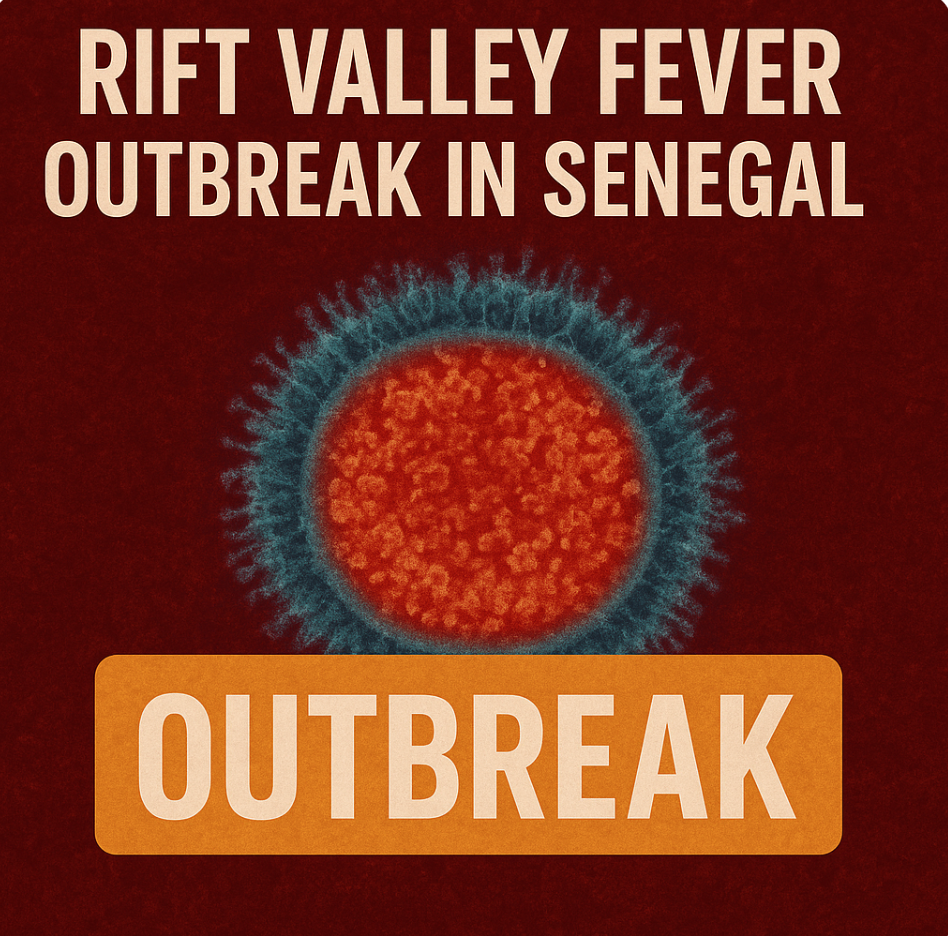 Screen Shot 2025-10-21 at 2.40.06 PM.png