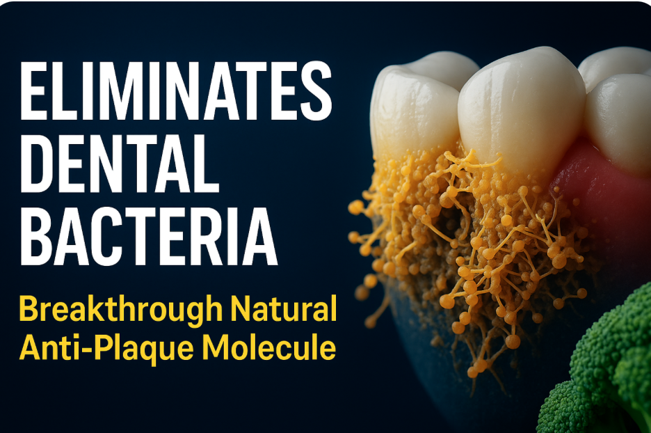 Screen Shot 2025-11-25 at 11.20.44 AM.png