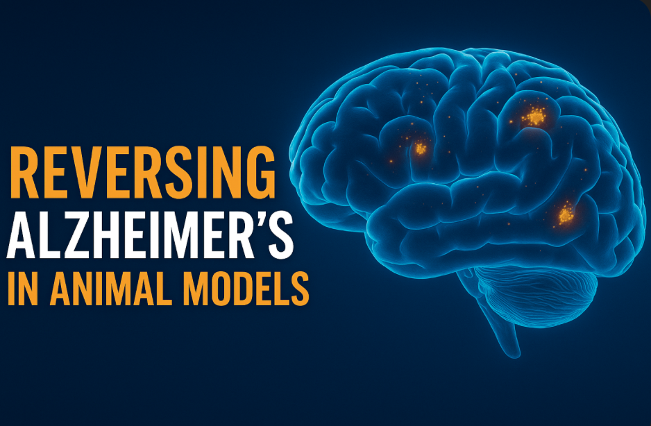 Screen Shot 2025-12-10 at 1.04.32 AM.png