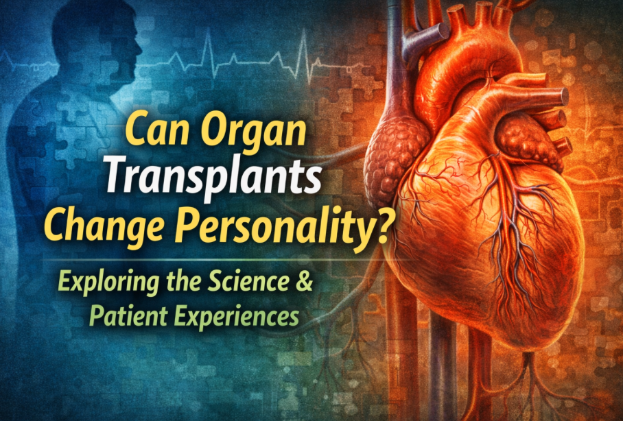 Screen Shot 2025-12-24 at 1.07.31 PM.png