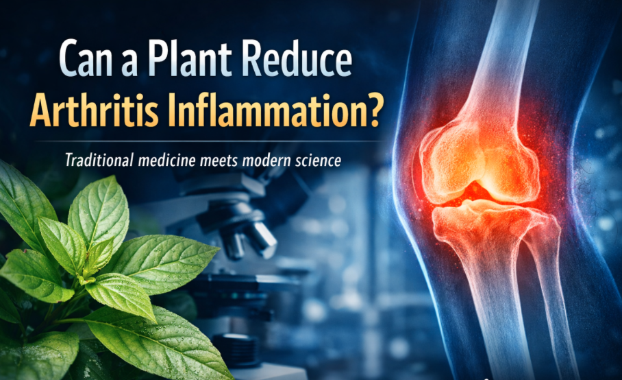 Screen Shot 2025-12-27 at 11.14.24 AM.png