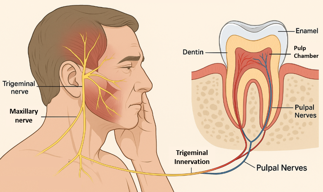 Screenshot 2025-09-04 155748.png