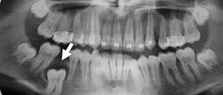 Screenshot 2025-09-06 154208.png