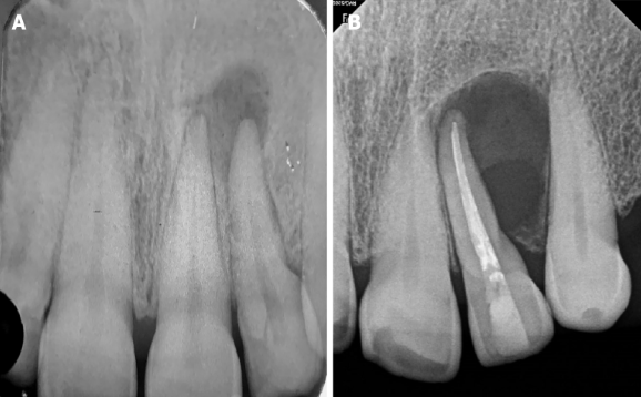 Screenshot 2025-09-06 154634.png