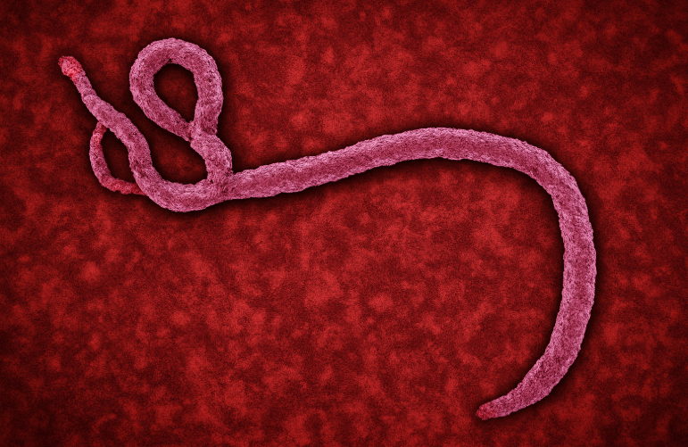 Screenshot 2025-09-07 111013.png