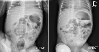 Screenshot 2025-09-08 143124.png