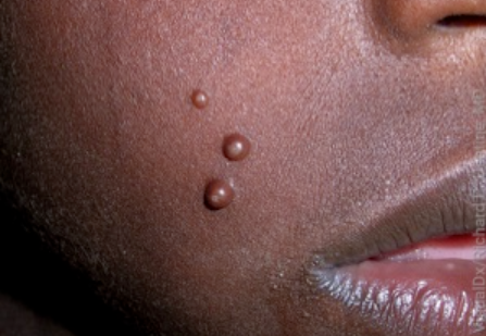 Screenshot 2025-09-08 143824.png