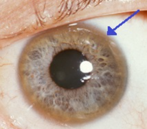 Screenshot 2025-09-08 144026.png