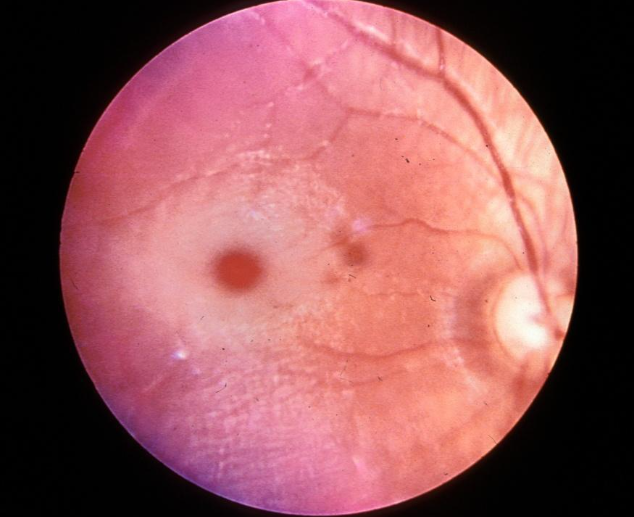 Screenshot 2025-09-08 144158.png