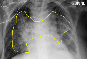 Screenshot 2025-09-08 144934.png