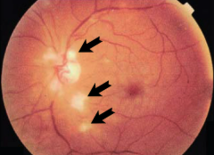 Screenshot 2025-09-08 145816.png