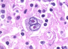 Screenshot 2025-09-08 150012.png