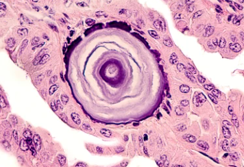 Screenshot 2025-09-08 150112.png