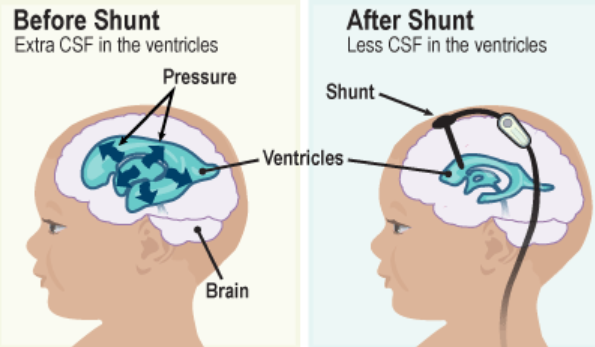 Screenshot 2025-09-09 141352.png