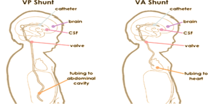 Screenshot 2025-09-09 142104.png