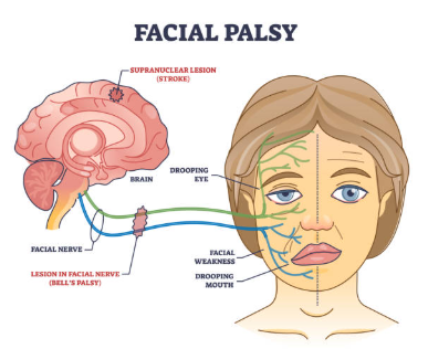 Screenshot 2025-09-09 155557.png