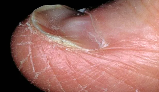 Screenshot 2025-09-09 160312.png