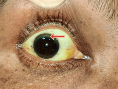 Screenshot 2025-09-09 160439.png