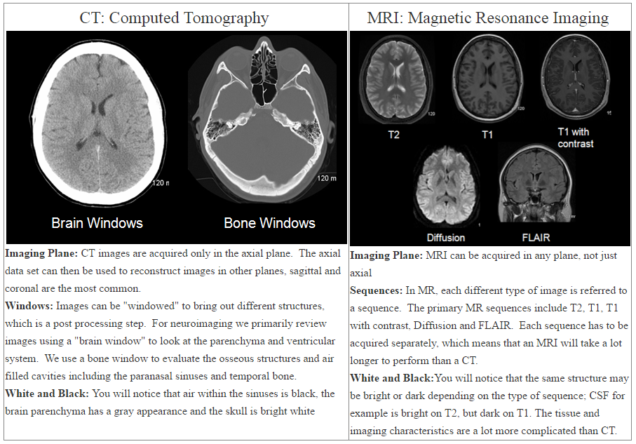 CT vs MRI How Can You Tell The Difference? Faculty of Medicine