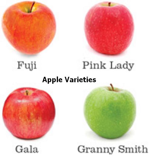 varieties.JPG