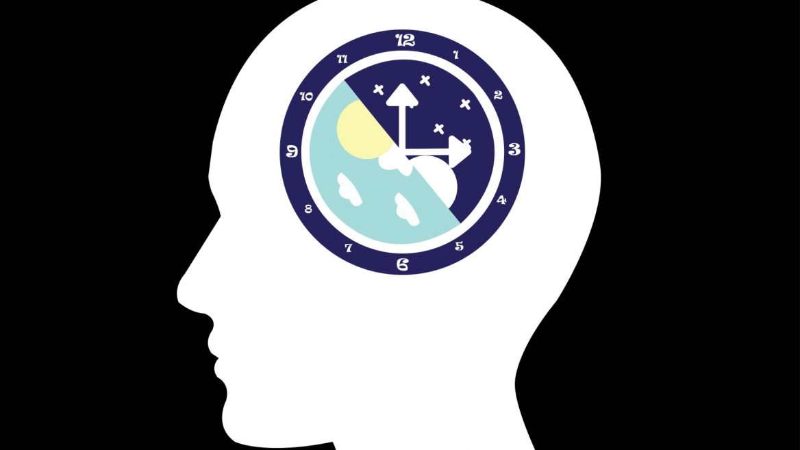 Circadian Rhythm Resetting The Biological Clock By Flipping A Switch