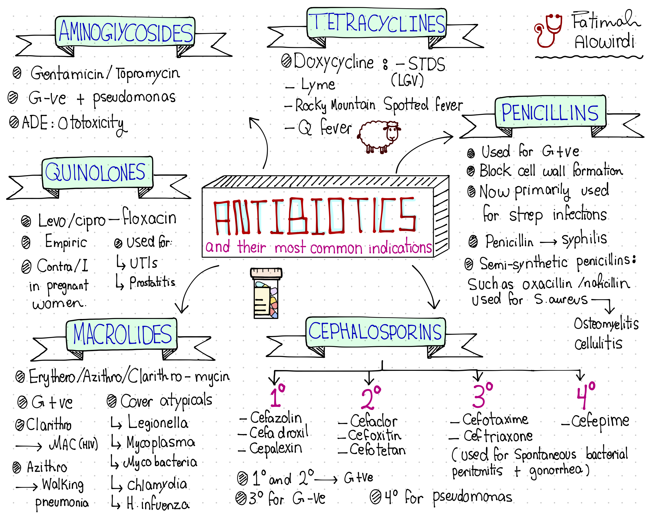 Antibiotics Types And Mechanism Of Action Faculty Of Medicine