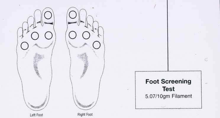 Primary Care Providers - Guardians of Diabetic Foot Health | Faculty of ...