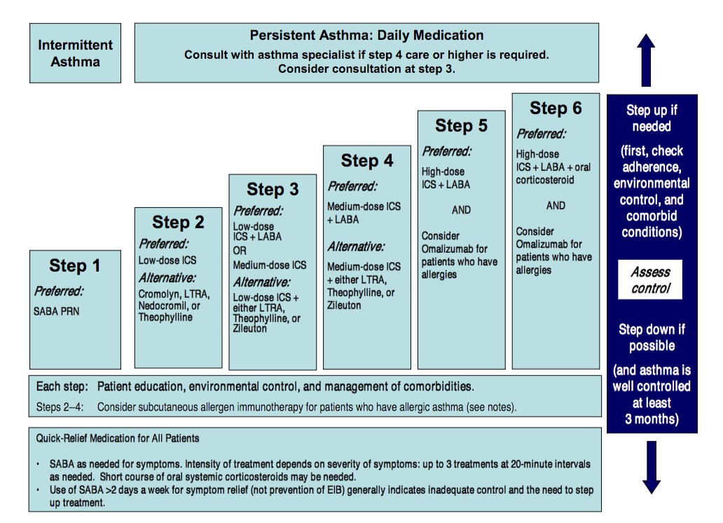 Asthma Management Stepwise Approach Explained, 2017 Faculty of Medicine
