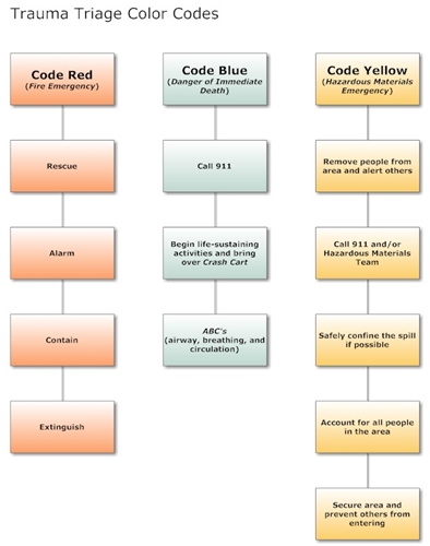 Trauma Triage Colour Codes | Faculty of Medicine