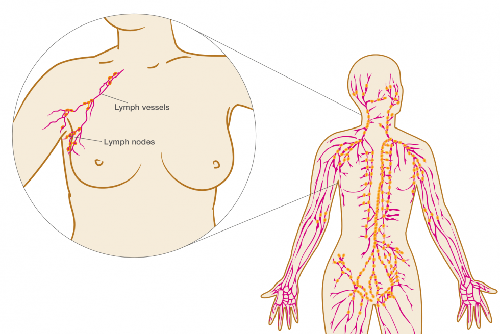 Лимфоузлы на теле подмышечные. Lymphatic nodes. Лимфа тугунларининг катталашуви.