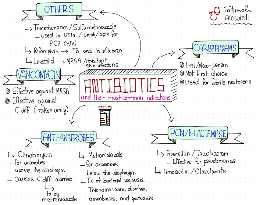 Antibiotics: Types and Mechanism of Action | Faculty of Medicine