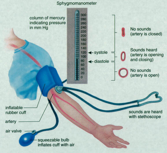 how to measure blood pressure