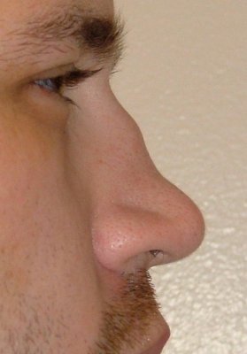 Nose.jpg