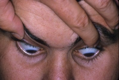 Ophthalmology Forum.jpg