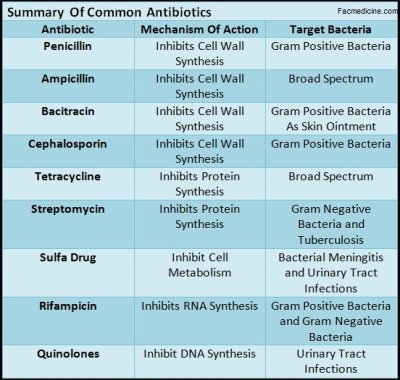 Comparison Between The Most Common Antibiotics | Faculty of Medicine